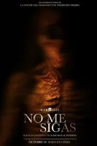 Не преследуй меня (2025)